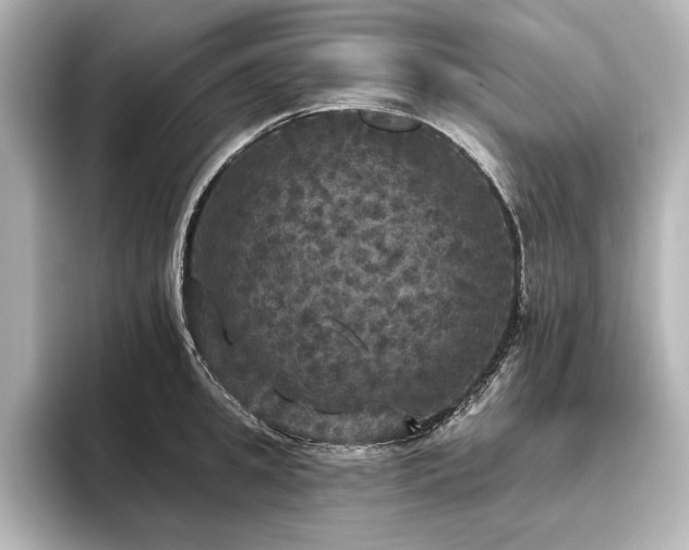 X0000096490949200801241502