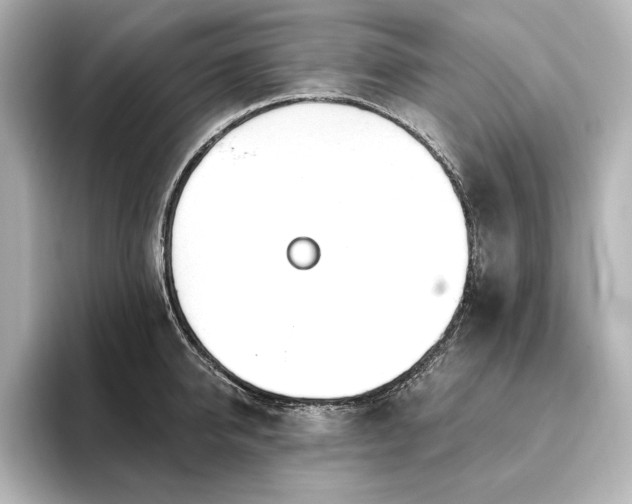 X0000096490950200801241502