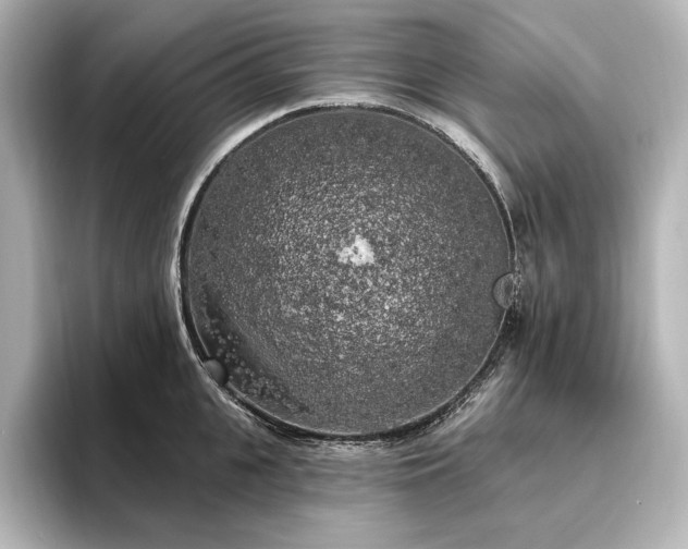 X0000096490951200801241502