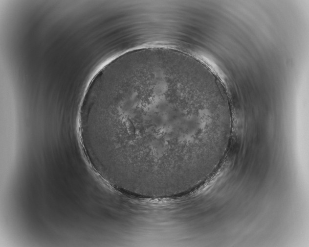 X0000096490952200801241502