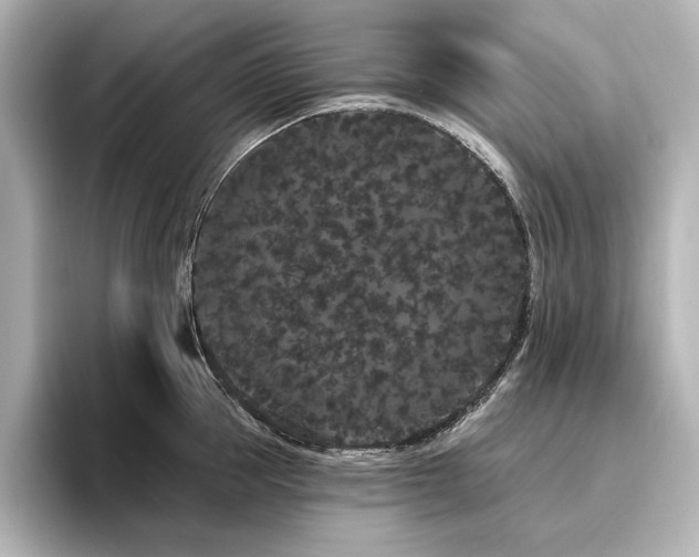 X0000096490953200801241502