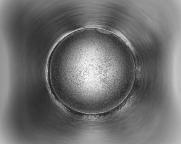 X0000096490955200801241502
