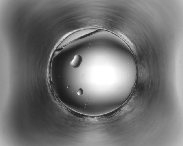X0000096490956200801241502
