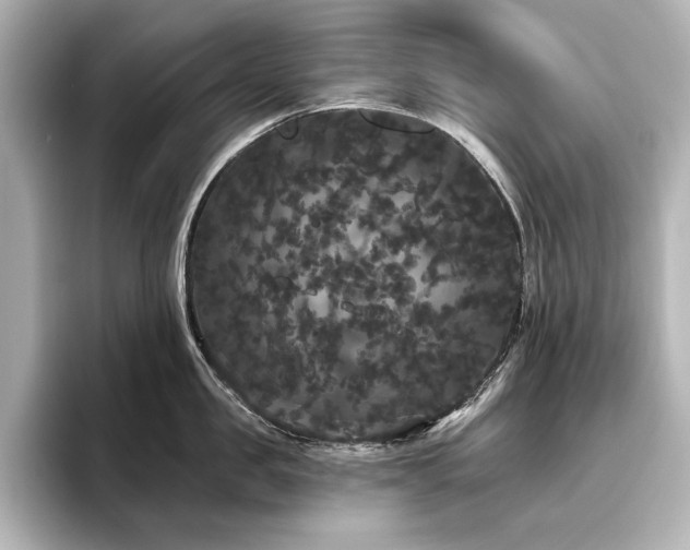 X0000096490957200801241502