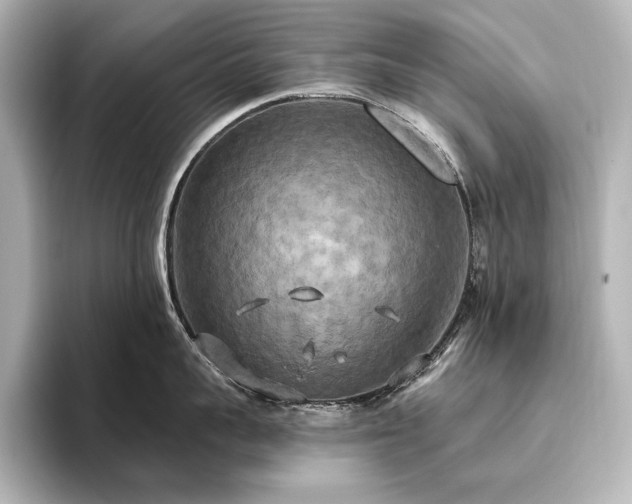 X0000096490959200801241502