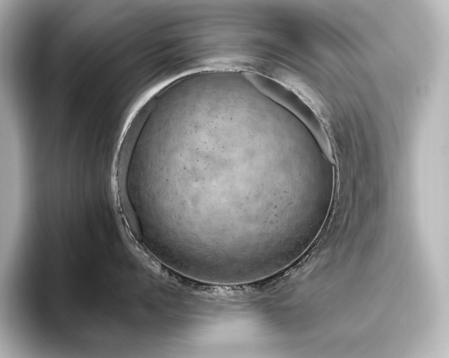 X0000096490960200801241502