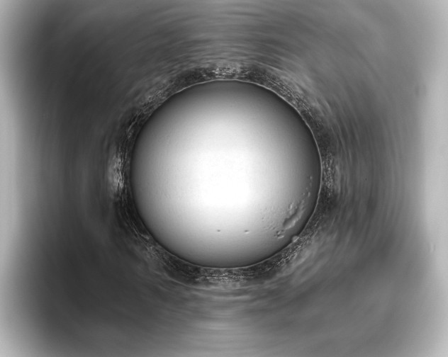 X0000096490962200801241501