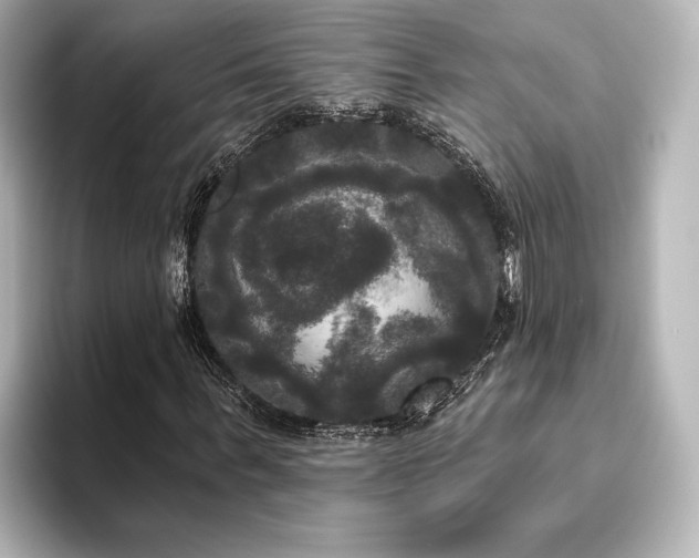 X0000096490963200801241501
