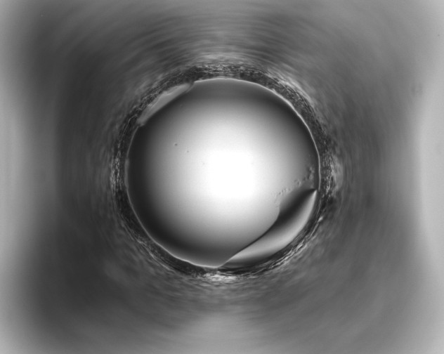 X0000096490965200801241501