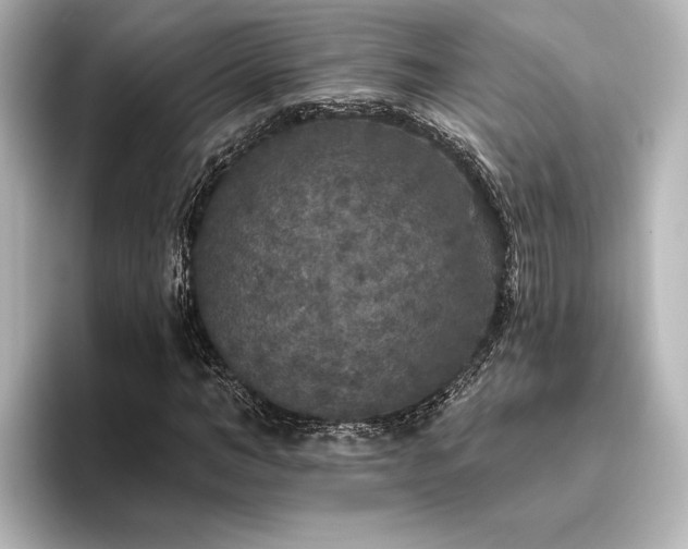 X0000096490966200801241501