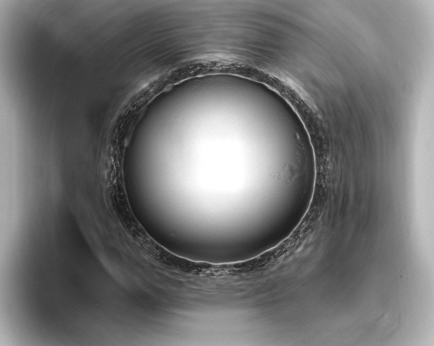 X0000096490967200801241501