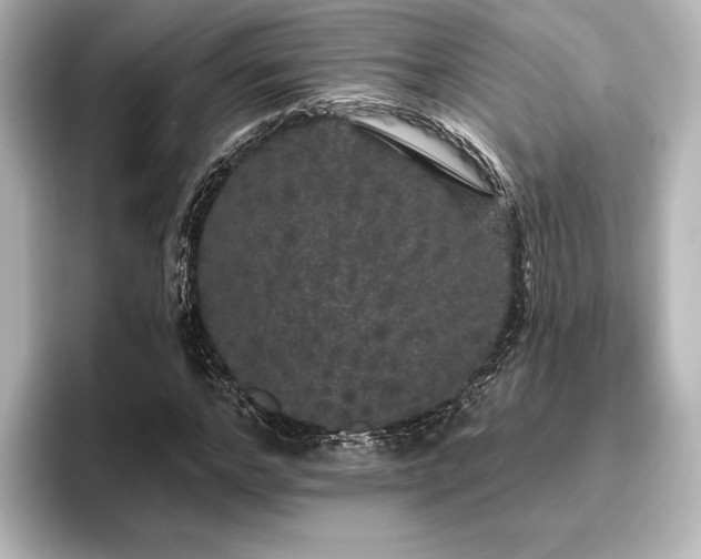 X0000096490968200801241501
