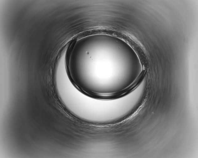 X0000096490969200801241501