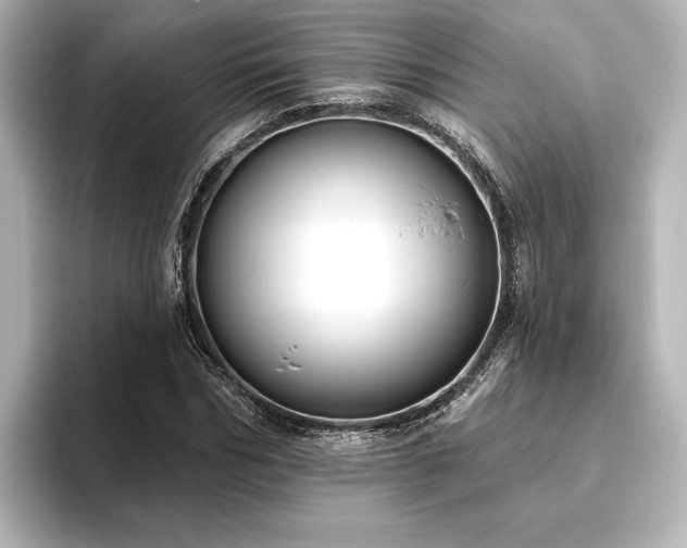 X0000096490970200801241501