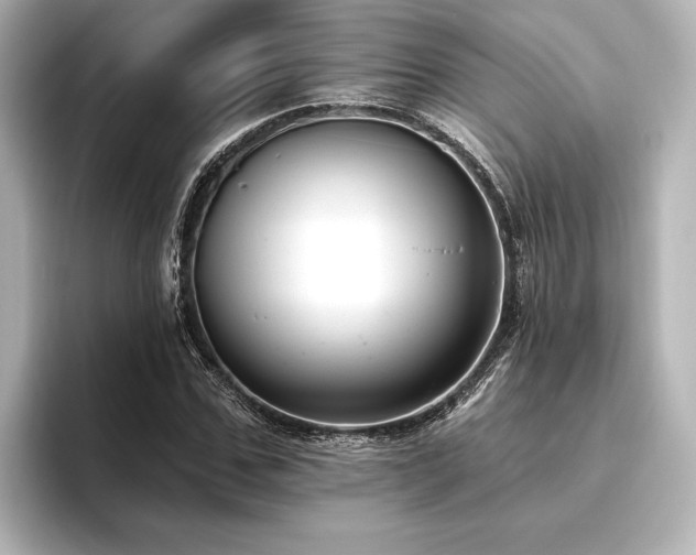 X0000096490971200801241501