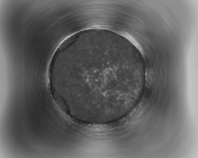 X0000096490972200801241501