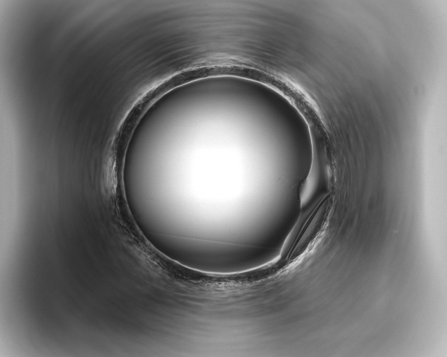 X0000096490973200801241501