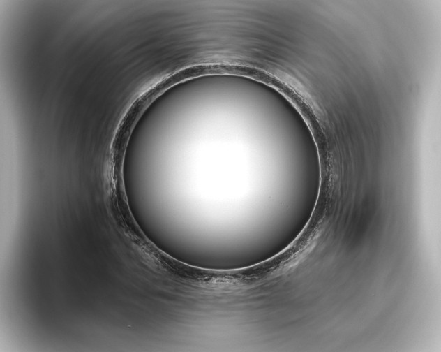 X0000096490974200801241501