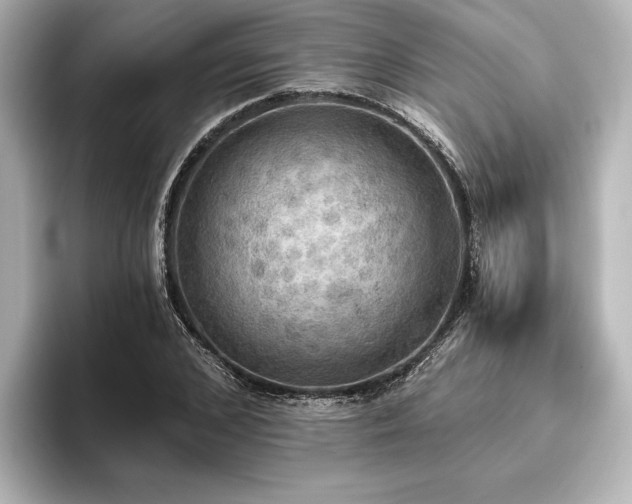 X0000096490976200801241501