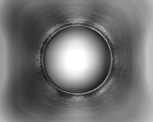 X0000096490978200801241501