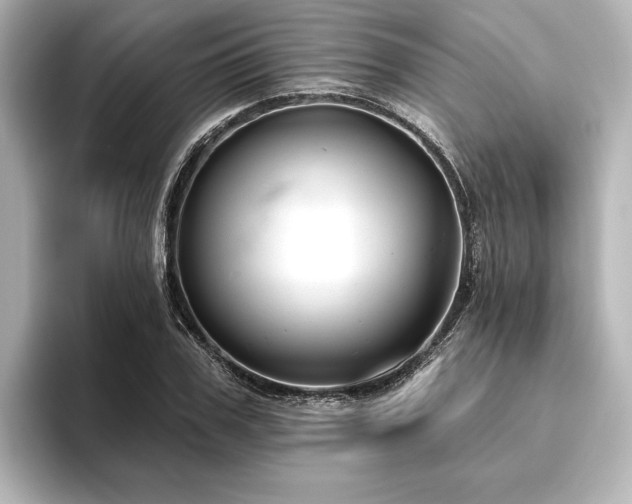 X0000096490979200801241501