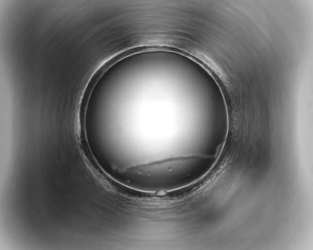 X0000096490980200801241501