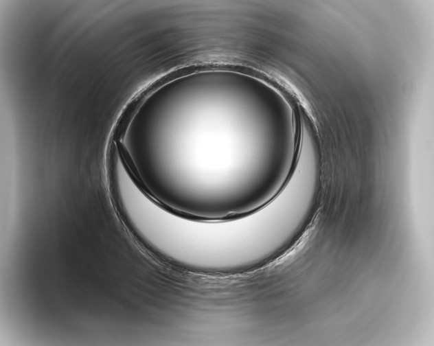 X0000096490981200801241501