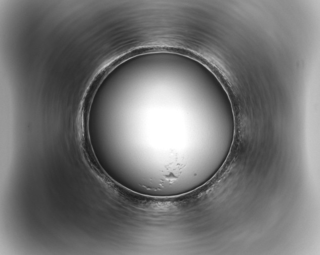 X0000096490982200801241501