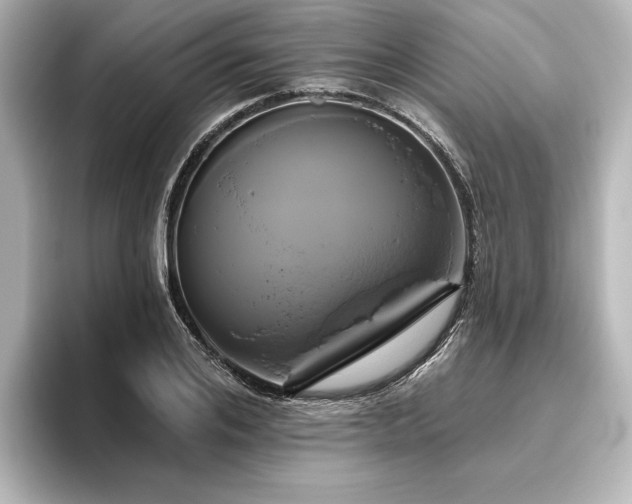 X0000096490984200801241501