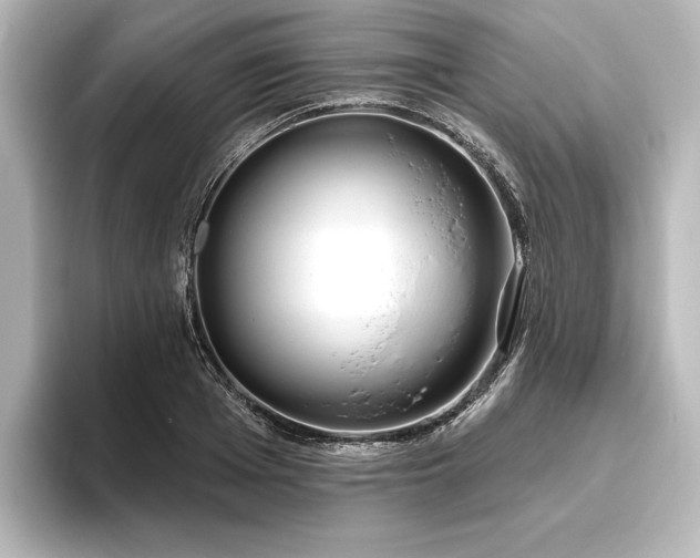 X0000096490985200801241501