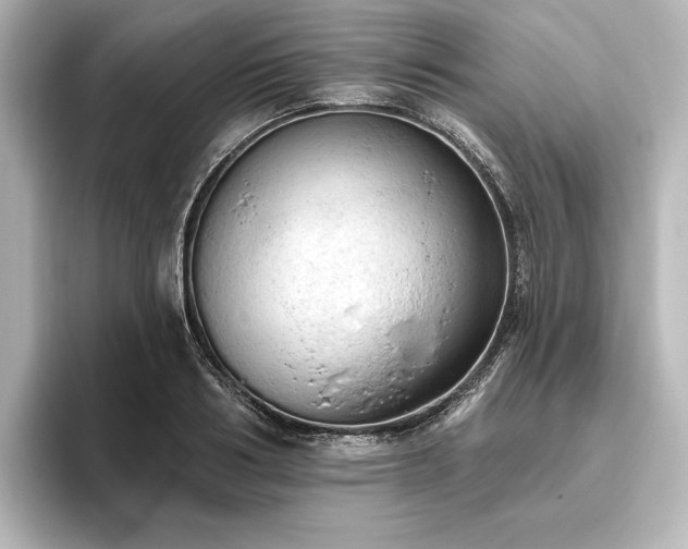 X0000096490986200801241501
