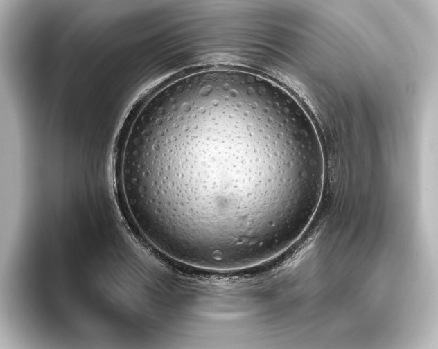 X0000096490987200801241501