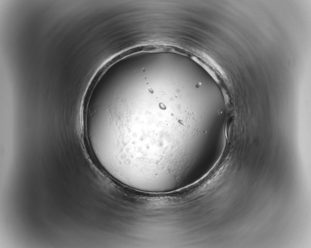 X0000096490988200801241501