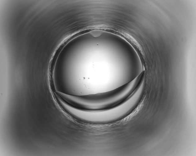 X0000096490989200801241501