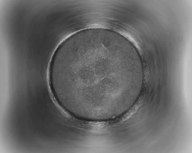 X0000096490991200801241501
