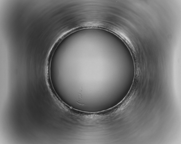 X0000096490992200801241501