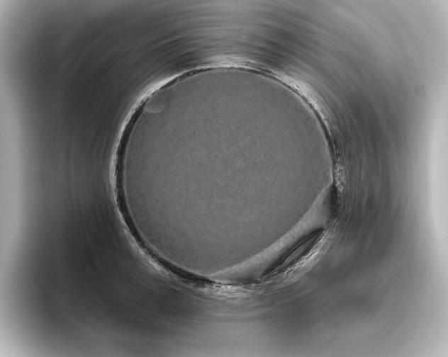 X0000096490995200801241501