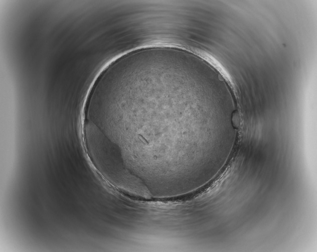 X0000096490996200801241501