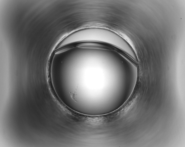 X0000096490997200801241501