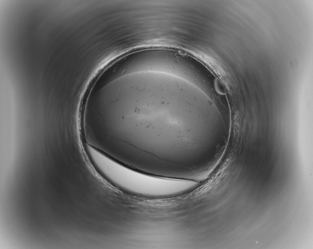 X0000096490998200801241501
