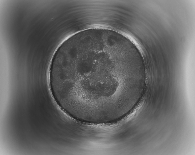 X0000096490999200801241501