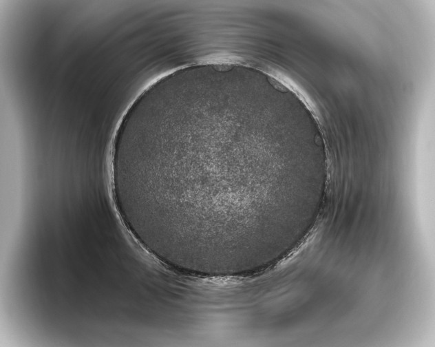 X0000096491000200801241501
