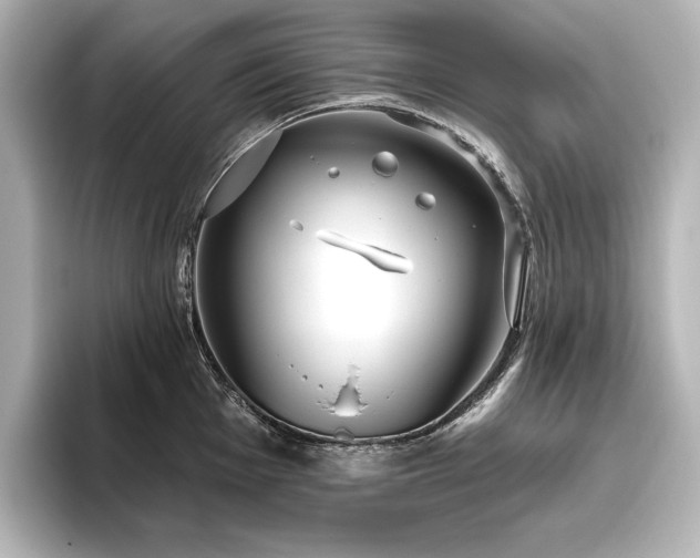 X0000096491001200801241501