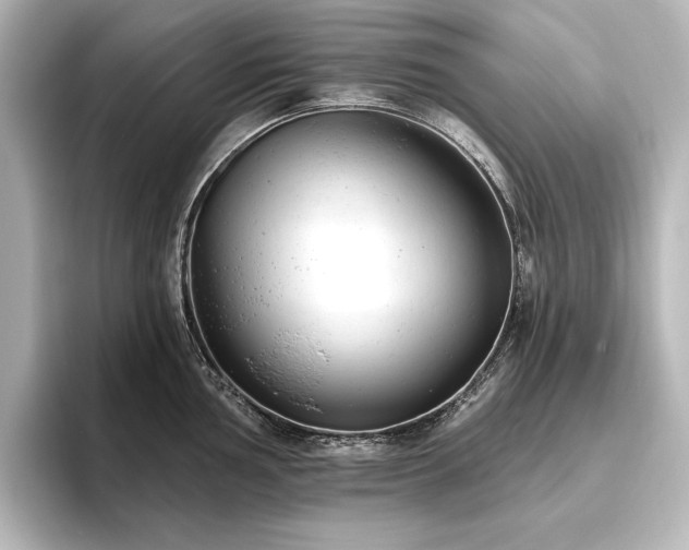 X0000096491002200801241501