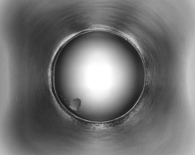 X0000096491003200801241501