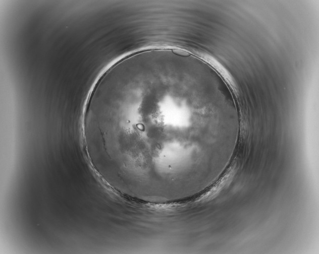 X0000096491004200801241501