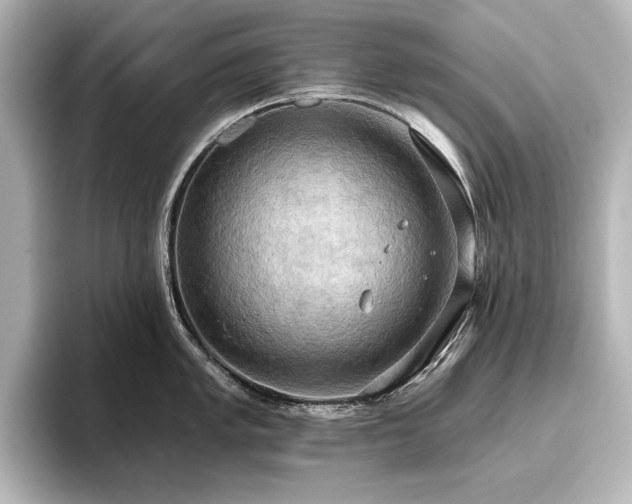 X0000096491005200801241501