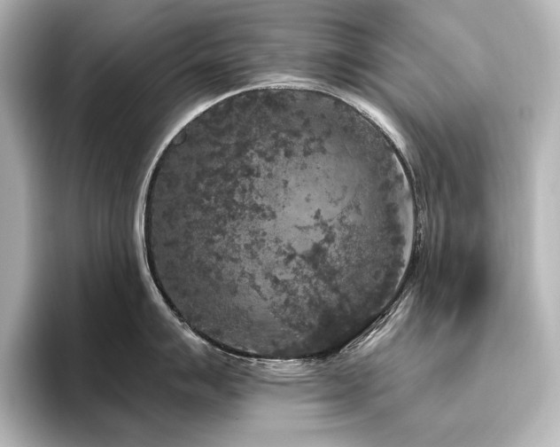 X0000096491007200801241500