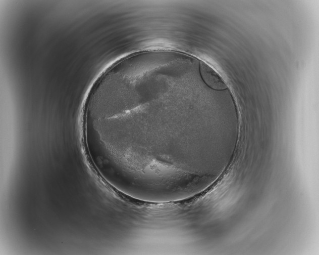 X0000096491008200801241500
