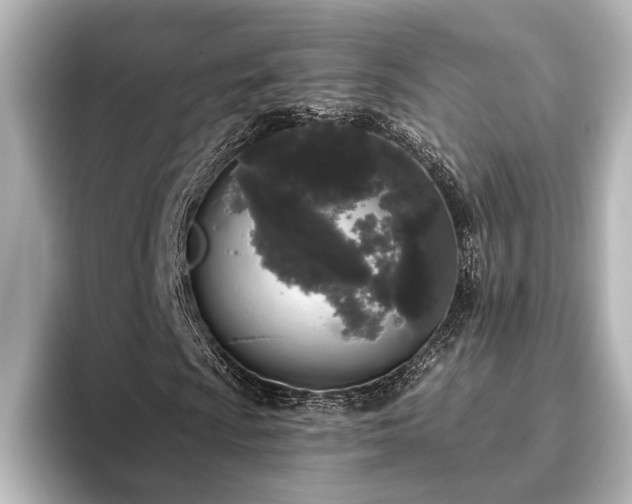 X0000096491009200801241500